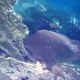Imagen para el artículo titulado El astronauta que tuitea espectaculares fotos desde el espacio